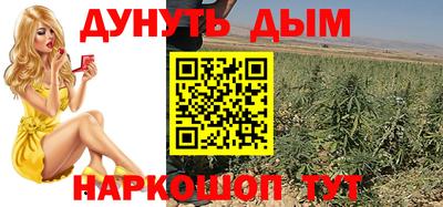прущие крисы Можга