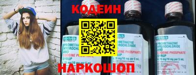 индика Можайск