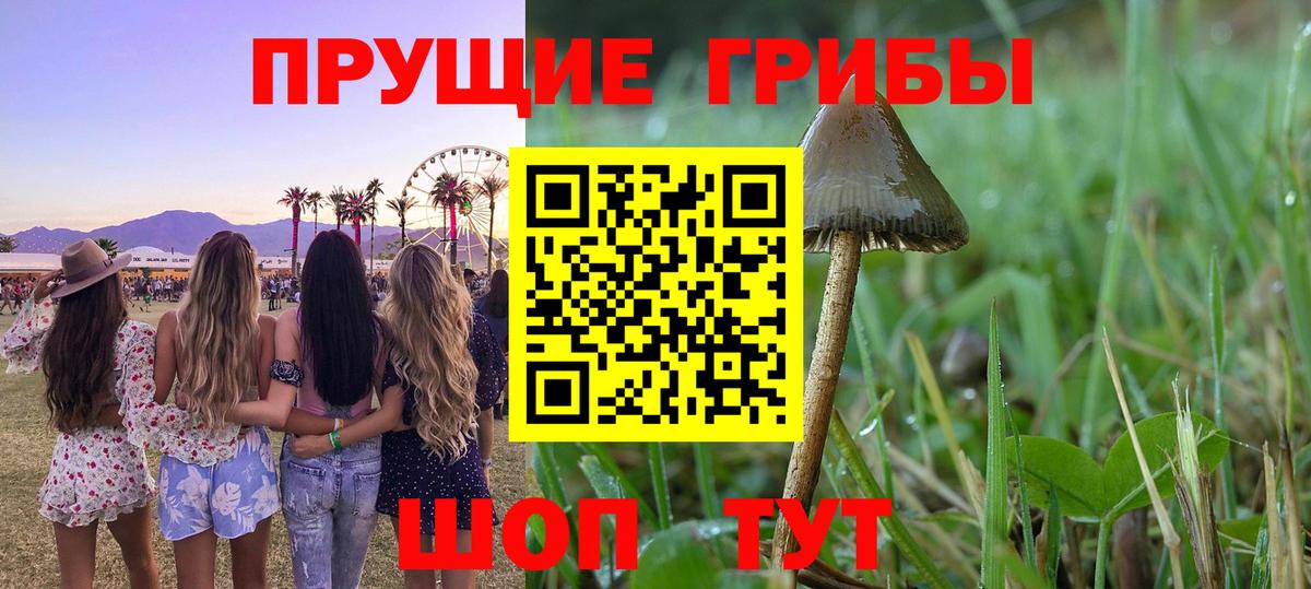 Галлюциногенные грибы MAGIC MUSHROOMS  Вход с VPN  Белорецк 